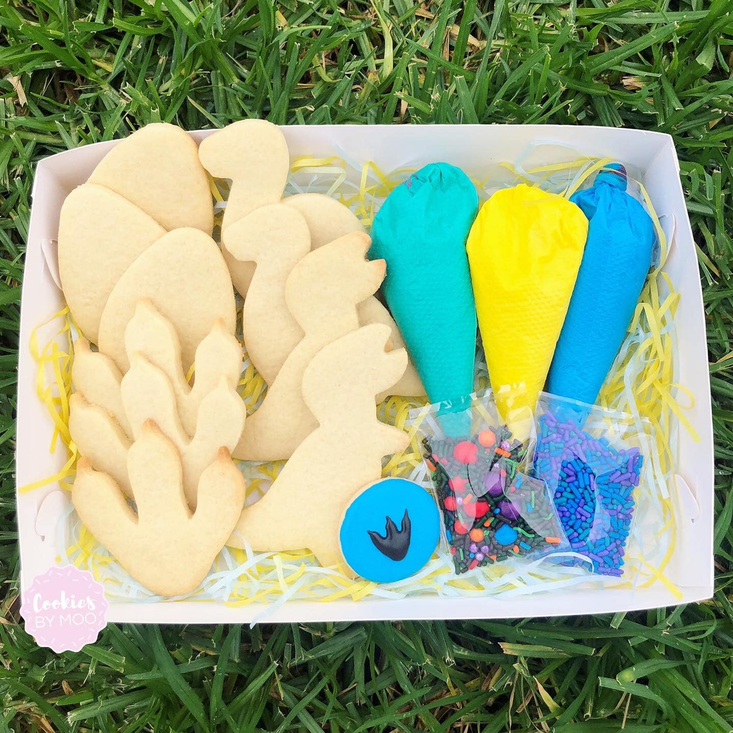 DINOSAUR Do-It-Yourself Cookie Kit!